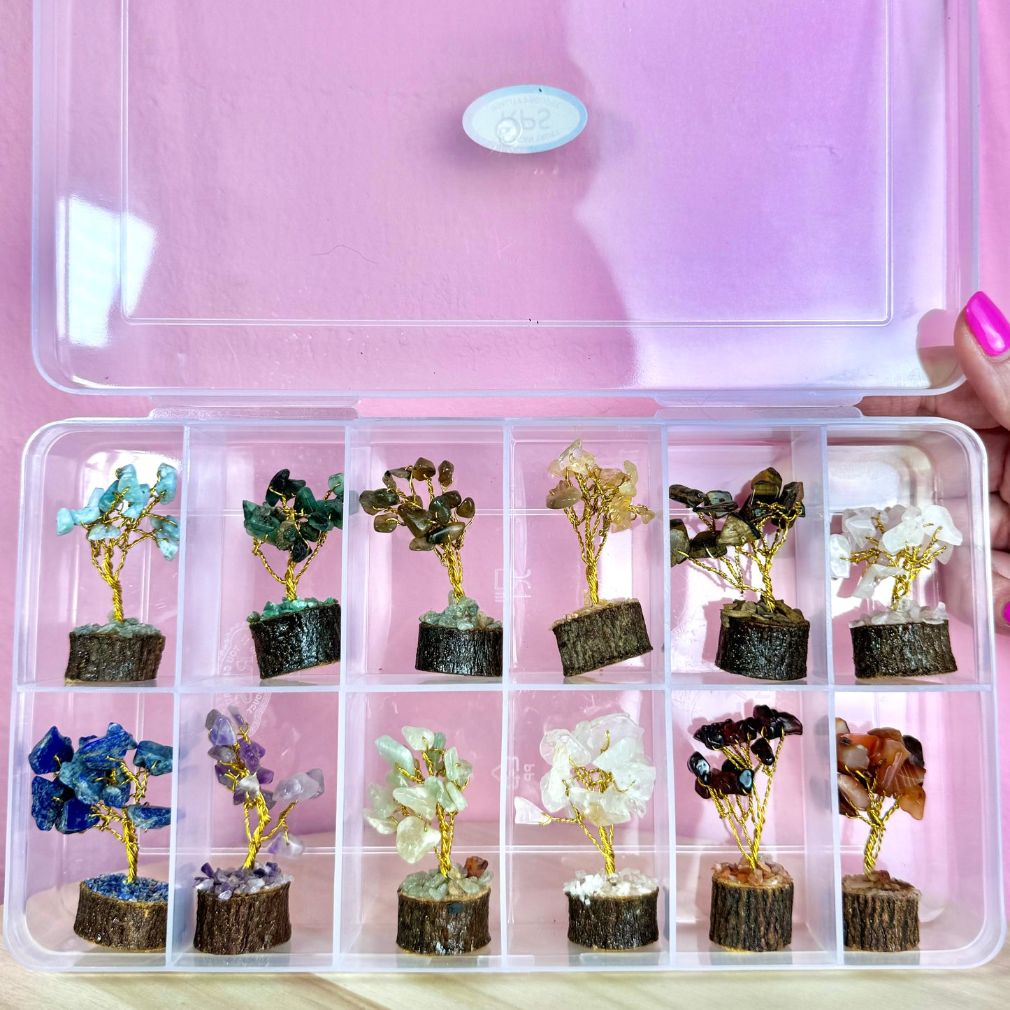 Pack de 12 Mini Árboles con Minerales || Equilibrio - Armonía